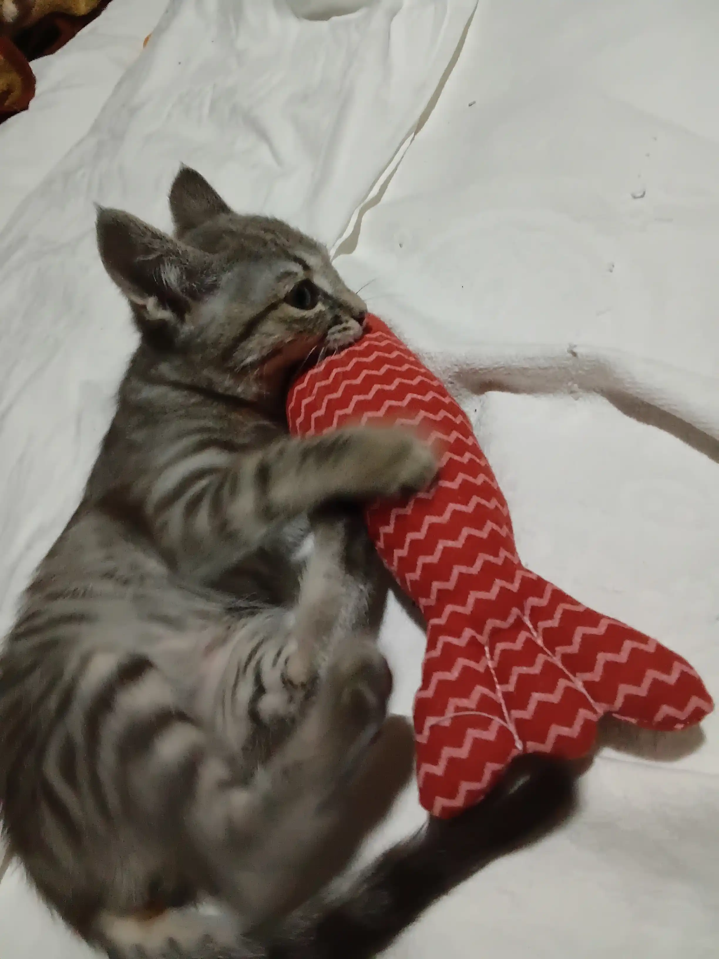 Игрушка для кошек рыбка с кошачьей мятой и валерианой