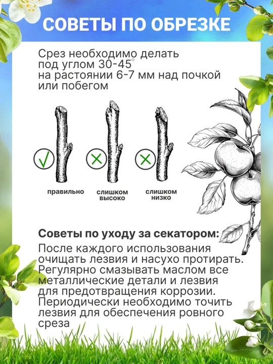 Qo‘lda ishlovchi bog‘ kesuvchisi