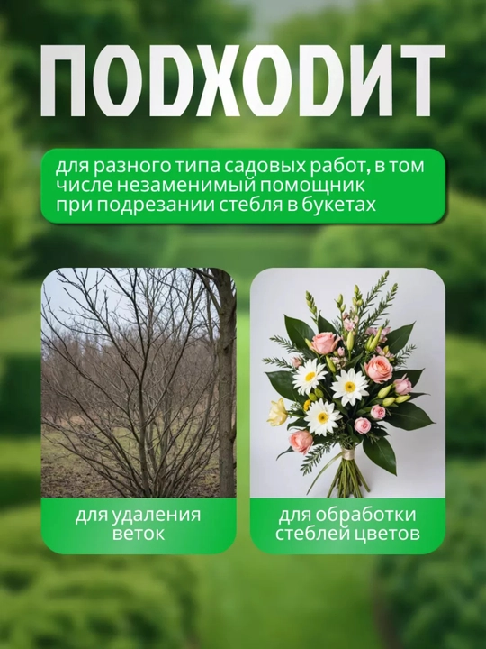 Qo‘lda ishlovchi bog‘ kesuvchisi