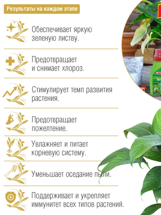 Bona Forte 4 в 1 — средство от пожелтения листьев (жидкое, концентрат)