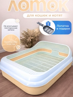 Бежевый
