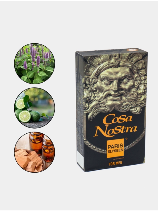 Cosa NoStra, PARIS ELYSEES, Erkaklar uchun elegant ifor, 100 ml