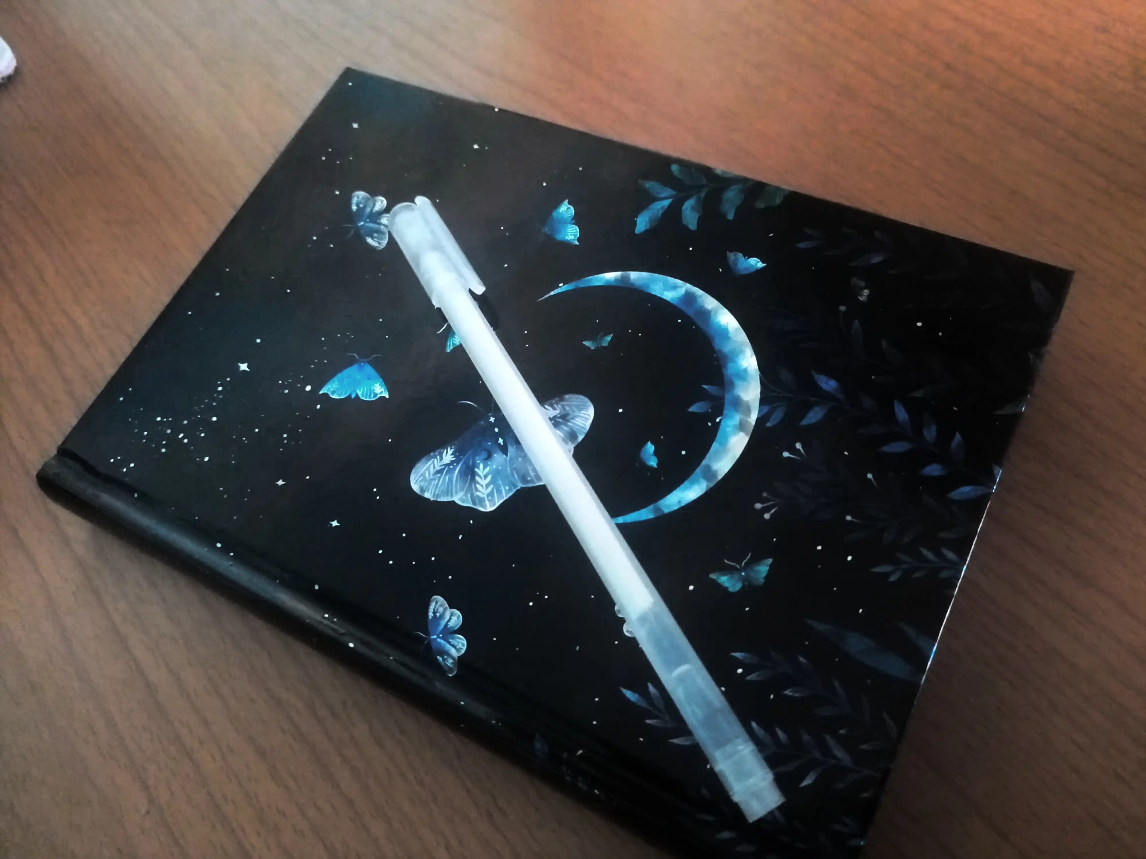 Qora varoqli bloknot, sketchbuk