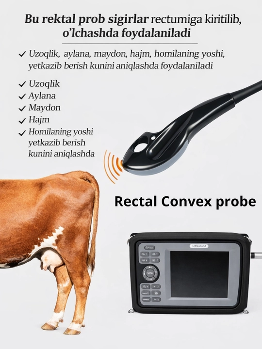 Chiziqli va barmoqli rektal sensorli ko‘chma veterinariya Uzi tekshiruvi apparati