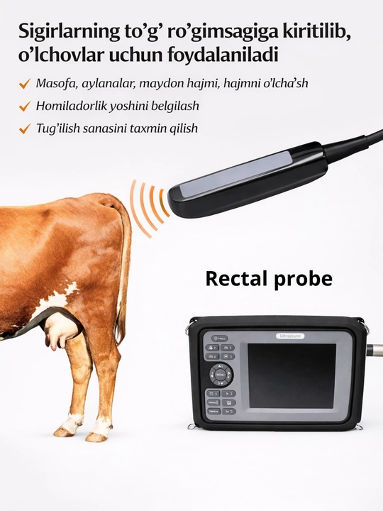 Chiziqli va barmoqli rektal sensorli ko‘chma veterinariya Uzi tekshiruvi apparati