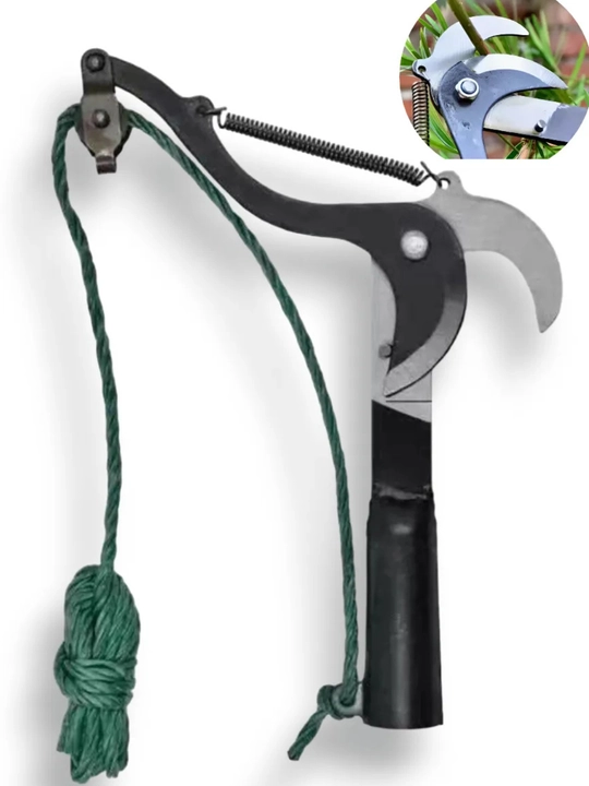 Shoxqiqqichlar, bog‘ shoxlarini kesuvchi