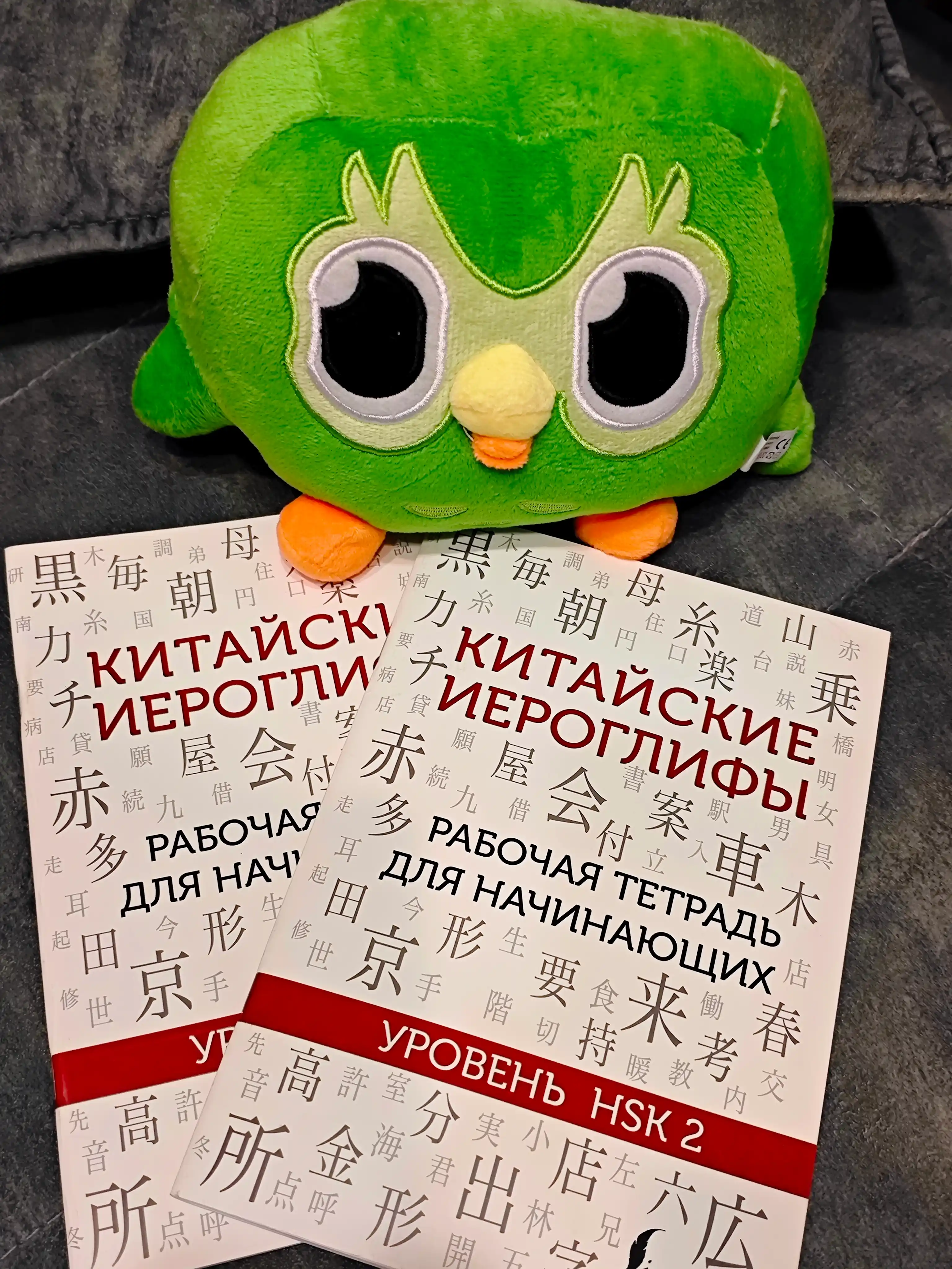 Китайские иероглифы, рабочая тетрадь для начинающих, уровни HSK 1-2, 3-4