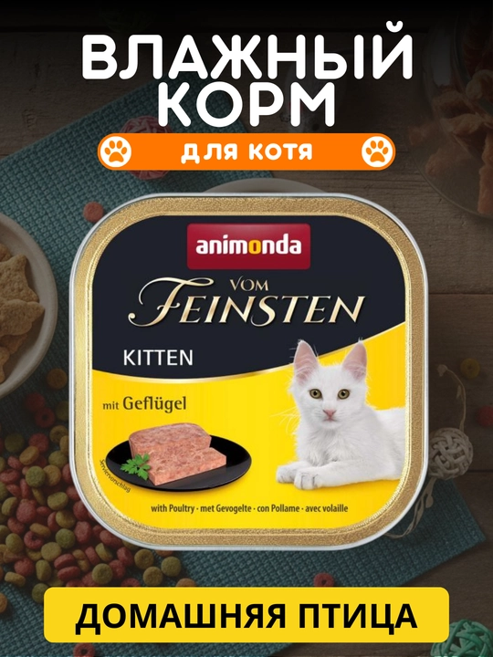 Mushukchalar uchun nam Animonda Vom Feinsten ozuqasi, har xil ta’mli, 100 grammdan 10 ta laminster - 