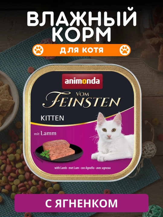 Mushukchalar uchun nam Animonda Vom Feinsten ozuqasi, har xil ta’mli, 100 grammdan 10 ta laminster - 