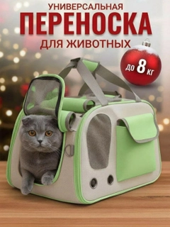 Бирюзовый