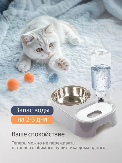 Миска для кошек собак, миски для кошек собак, для животных