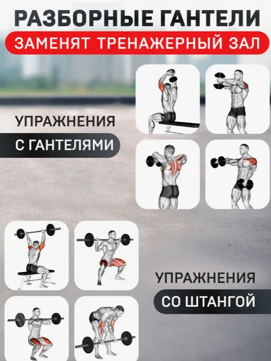 Набор гантели и штанги разборные, в кейсе, 5-10 - 15 - 20 - 25 - 30 - 40  - 50 - 55 кг