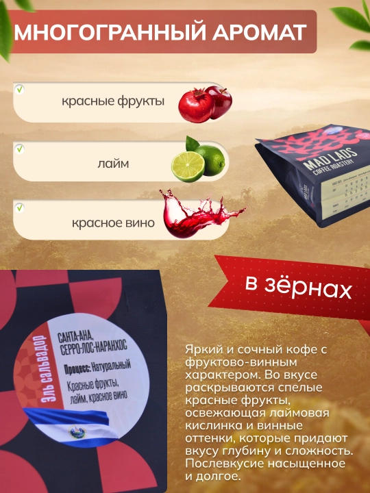 Кофе в зернах, 100% арабика, Сальвадор (Санта-Ана), свежая обжарка MADLADS Coffee Roastery