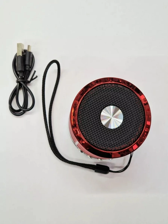WS-887 portativ karnay (mini-karnay)