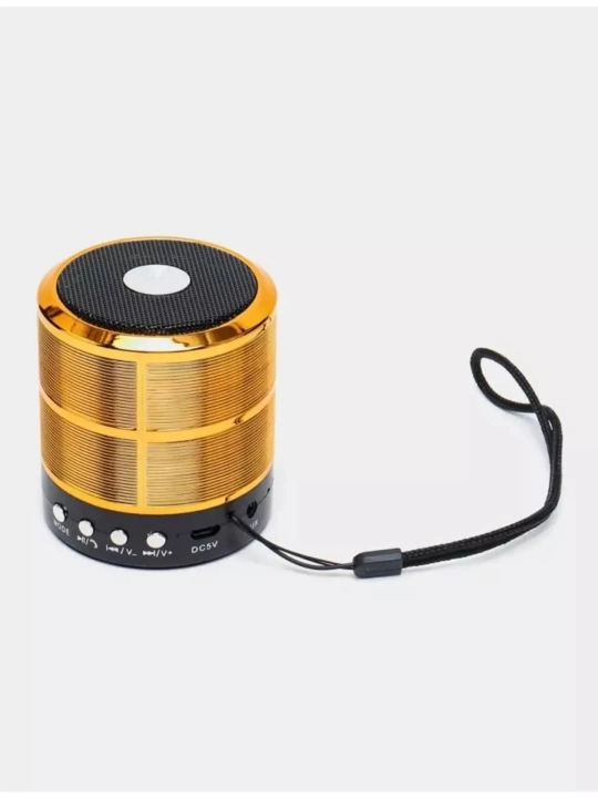 WS-887 portativ karnay (mini-karnay)