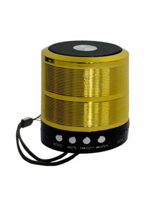 WS-887 portativ karnay (mini-karnay)