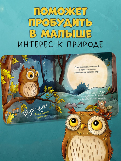 Doskadagi kitoblar. O'rmondagi kichkina boyo'g'li. Chaqaloqning birinchi tabiat kitobi, 16 bet - 