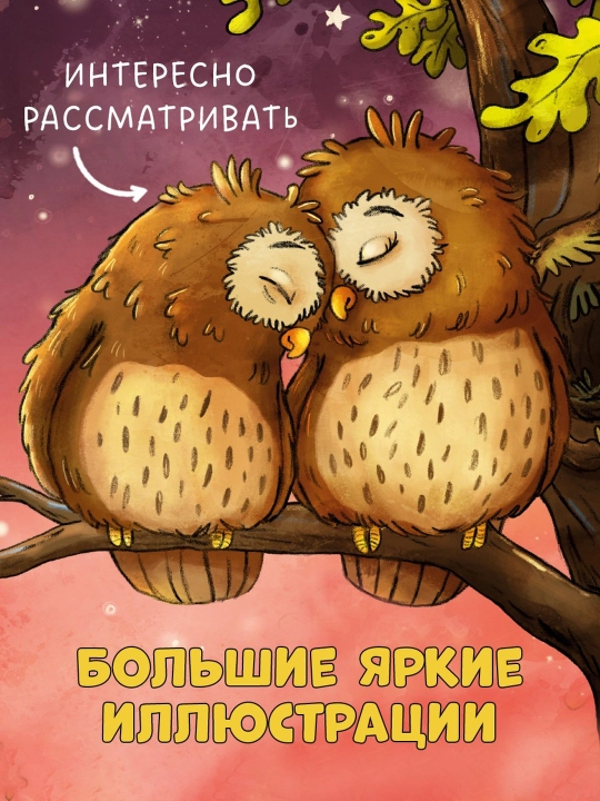 Doskadagi kitoblar. O'rmondagi kichkina boyo'g'li. Chaqaloqning birinchi tabiat kitobi, 16 bet