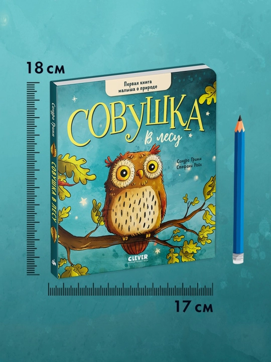 Doskadagi kitoblar. O'rmondagi kichkina boyo'g'li. Chaqaloqning birinchi tabiat kitobi, 16 bet