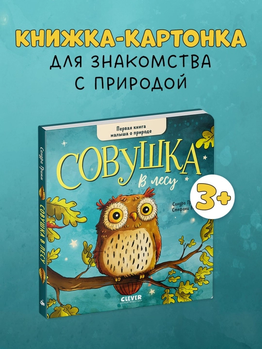 Doskadagi kitoblar. O'rmondagi kichkina boyo'g'li. Chaqaloqning birinchi tabiat kitobi, 16 bet