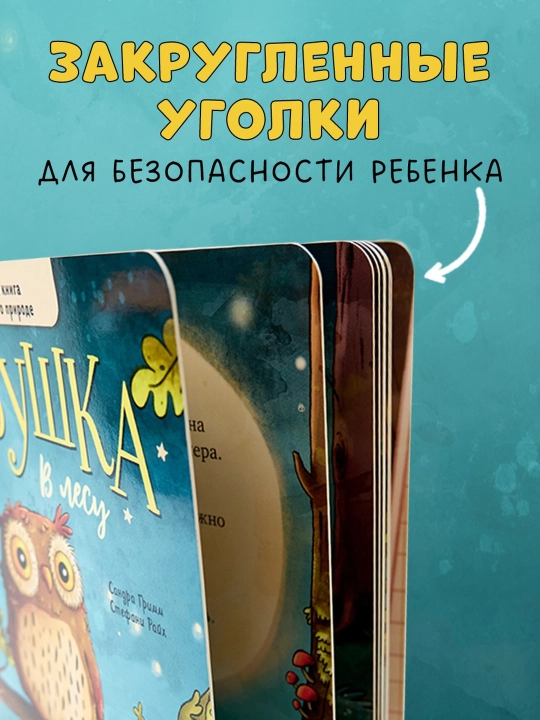 Doskadagi kitoblar. O'rmondagi kichkina boyo'g'li. Chaqaloqning birinchi tabiat kitobi, 16 bet