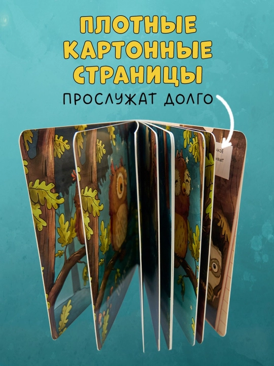 Doskadagi kitoblar. O'rmondagi kichkina boyo'g'li. Chaqaloqning birinchi tabiat kitobi, 16 bet