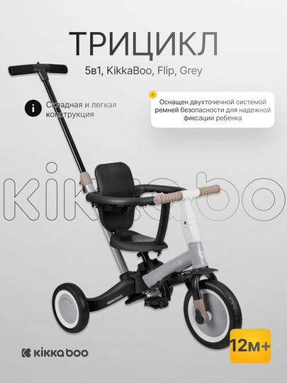 Трицикл 5 в 1, KikkaBoo, Flip