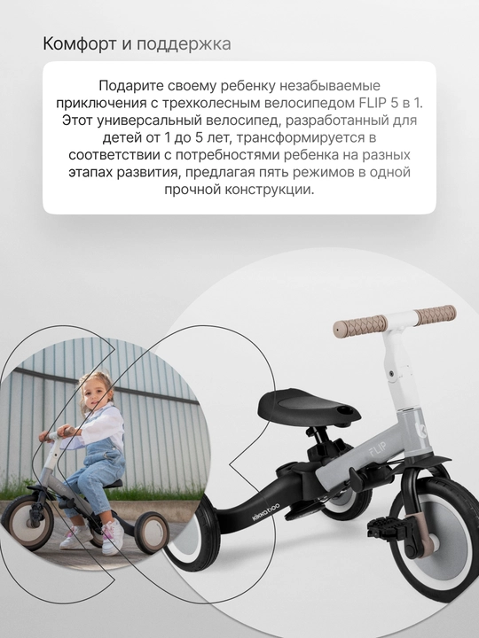 Трицикл 5 в 1, KikkaBoo, Flip