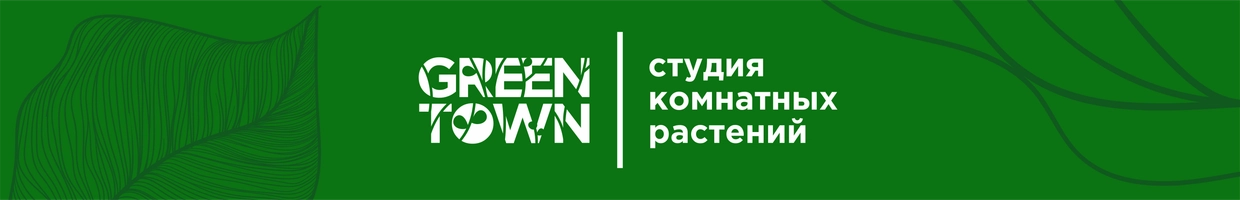 Green Town studio