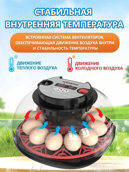 Интеллектуальный инкубатор, полностью автоматическое, инкубационное оборудование