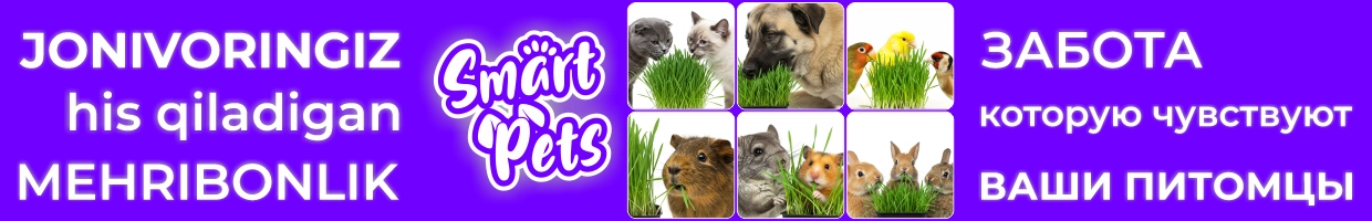 SMART PETS