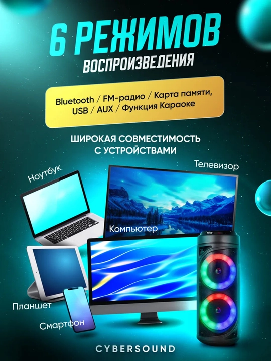 Karaoke Kolonka FM-radio ZQS 4239, 6212, 8170, 4273M, 4293, 10101, 4290, 8147, 8181, 6227