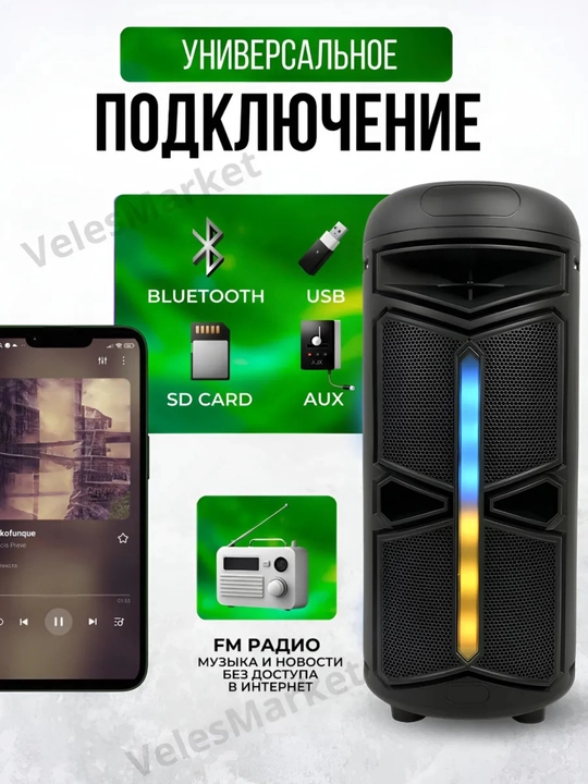 Karaoke Kolonka FM-radio ZQS 4239, 6212, 8170, 4273M, 4293, 10101, 4290, 8147, 8181, 6227