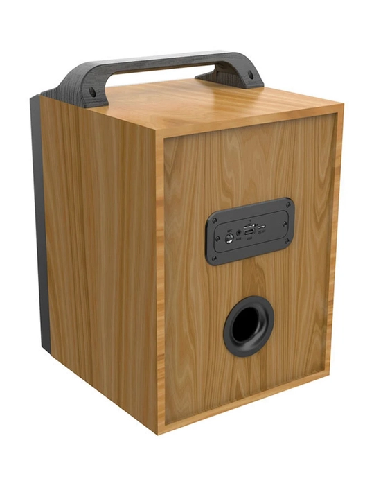 Karaoke Kolonka FM-radio ZQS 4239, 6212, 8170, 4273M, 4293, 10101, 4290, 8147, 8181, 6227