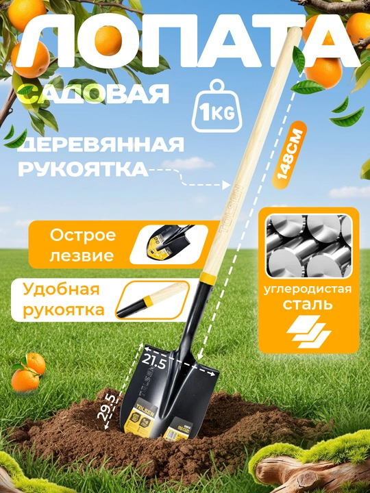 Лопата штыковая, с черенком TOLSEN 58005 - 