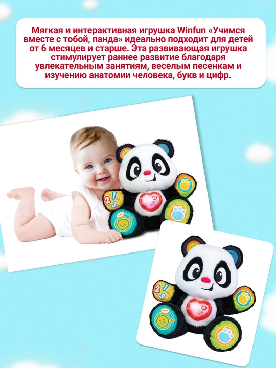 Winfun Панда Учись со мной