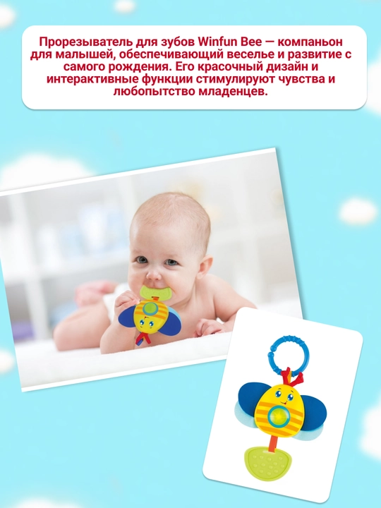 Winfun o'yinchoq tishlari ari