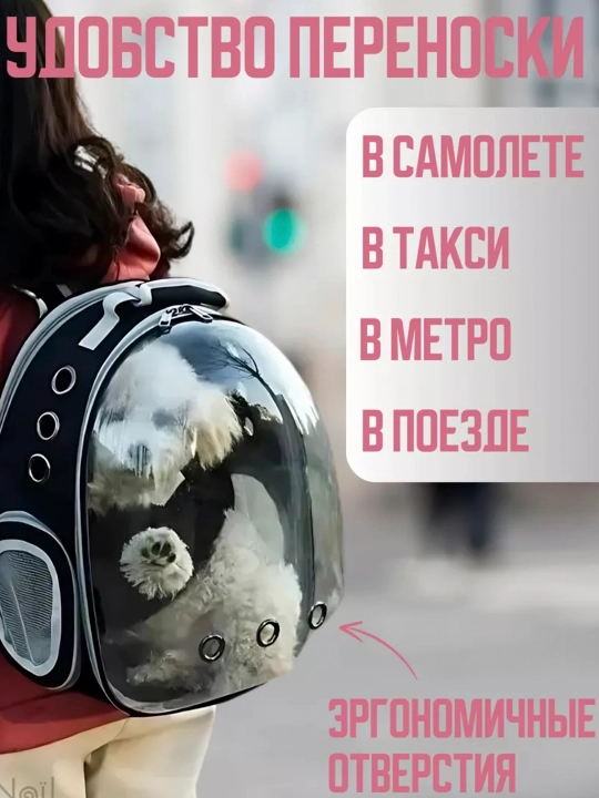 Современный рюкзак с космическим дизайном путешествуйте с вашим питомцем с комфортом