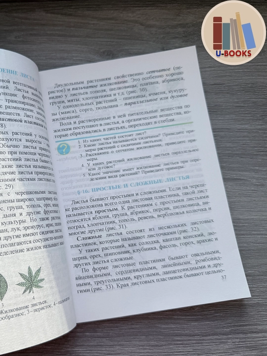 Биология (Ботаника), 6 класс, Учебник для общеобразовательных школ (На русском языке)