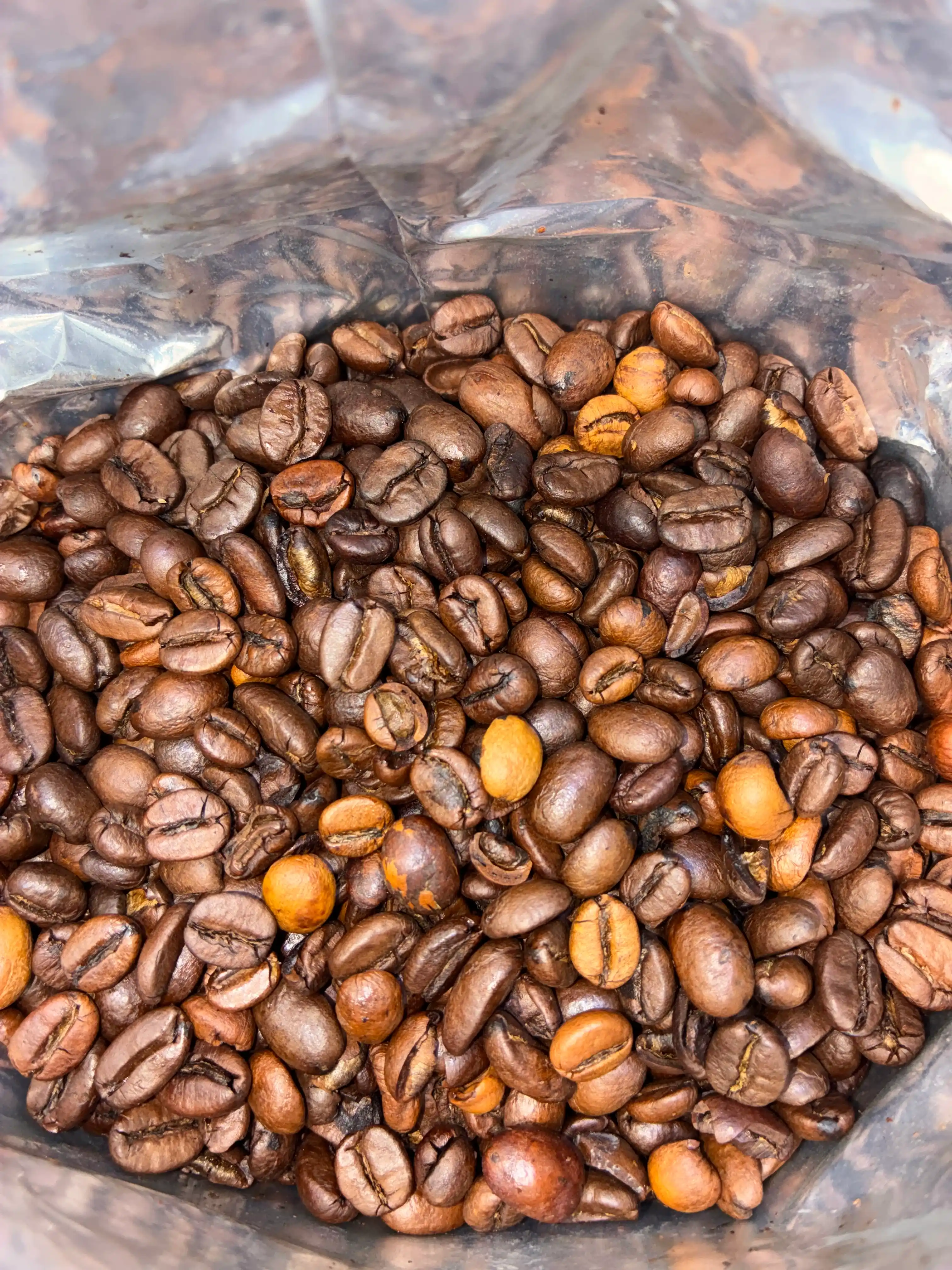 Donli qahva Segafredo Classico, Italiya, 1 kg