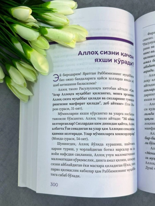 Вечерние красавицы