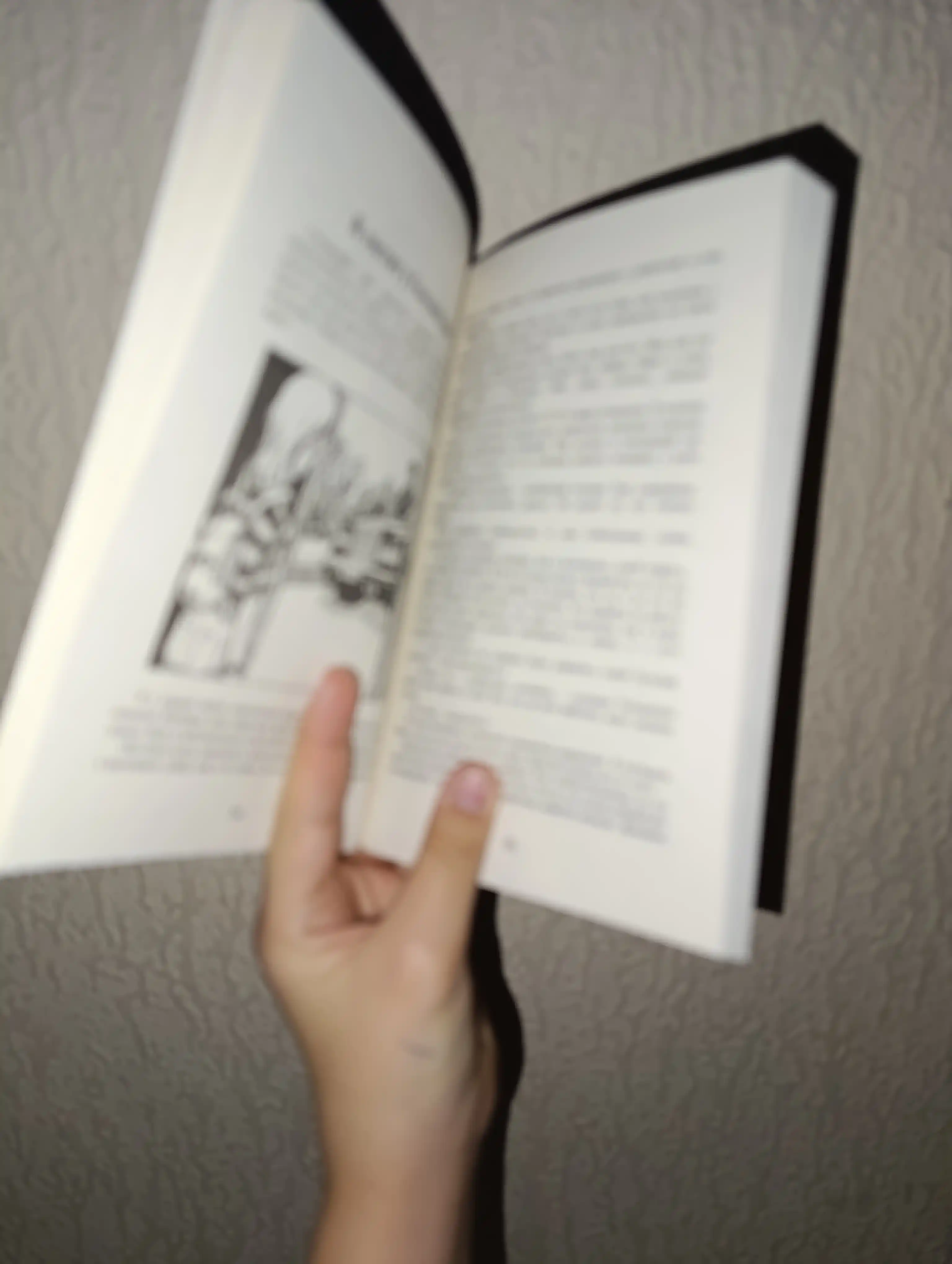 Пёс по имени Мани, Бодо Шефер
