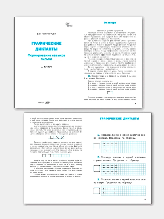 Graficheskiye diktanty. Formirovaniye navykov pis'ma. Rabochaya tetrad'. 1 klass
