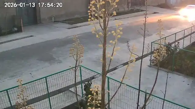Wi-Fi камера видеонаблюдения с ночным видением, поворотом 360, датчиком движения