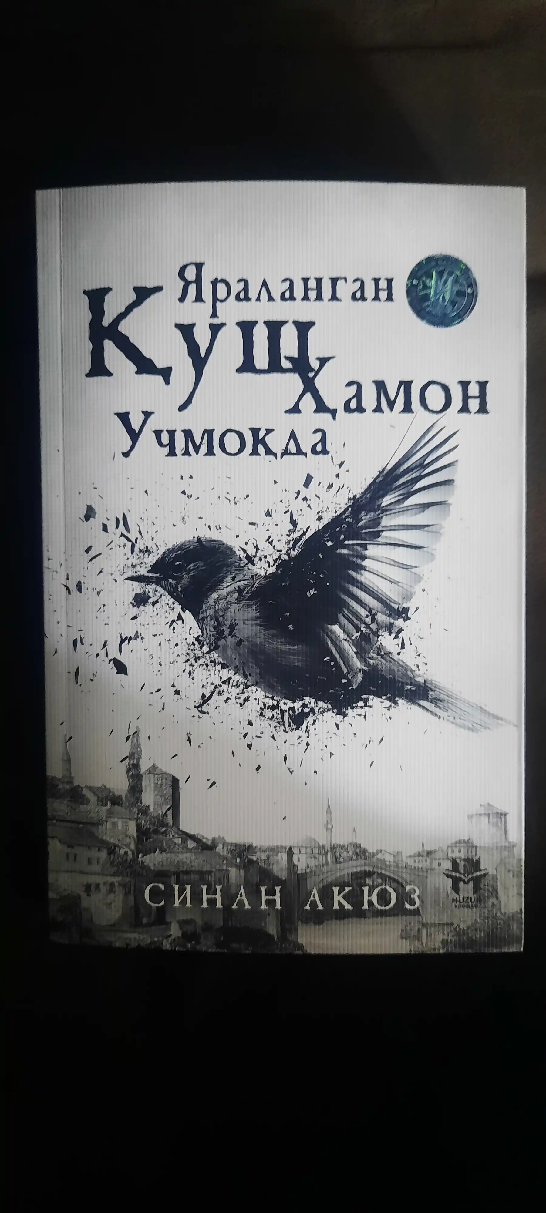 Yaralangan qush hamon uchmoqda, Sinan Akyuz