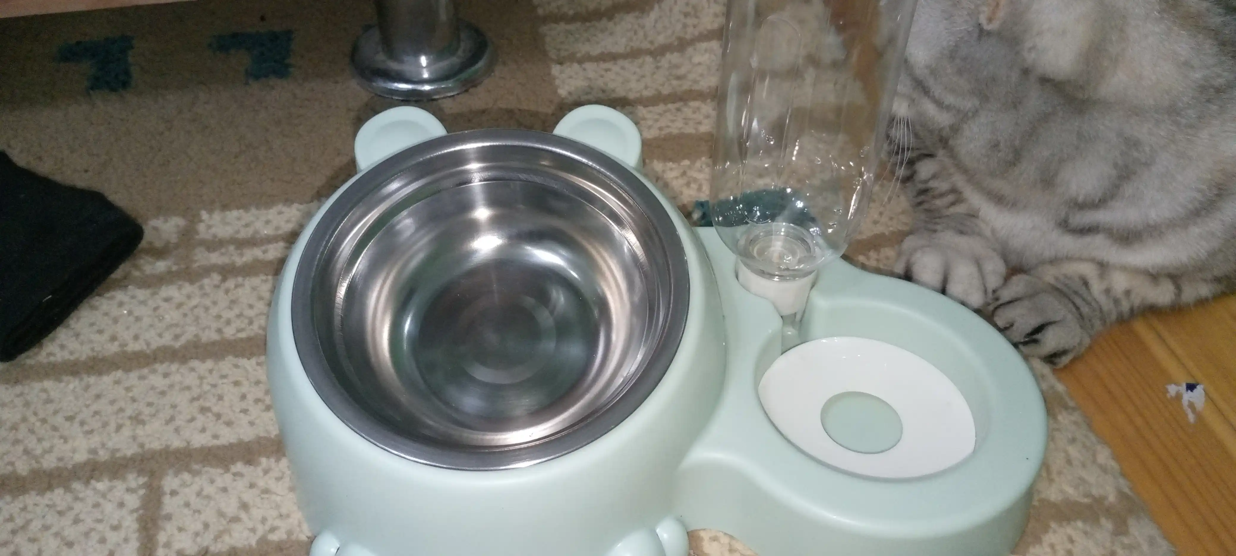 Миска с поилкой для кошек и собак, миска с бутылкой, кормушка для кошек и собак