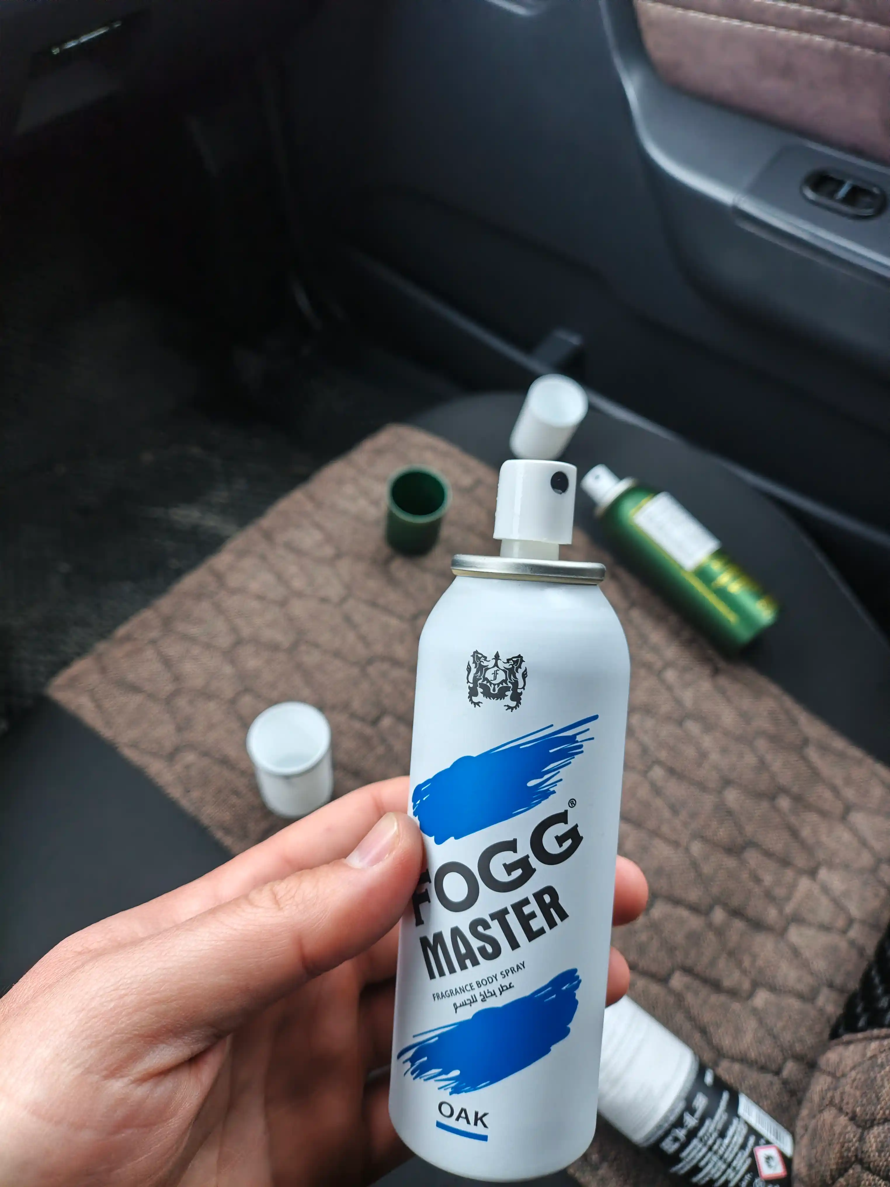 Fogg Master Oak - мужской парфюмированный спрей для тела, 120 мл