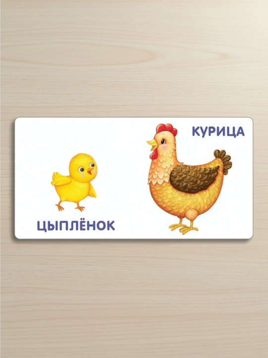 Книжки-картонки. Малыши и мамы