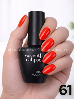 Zaytun