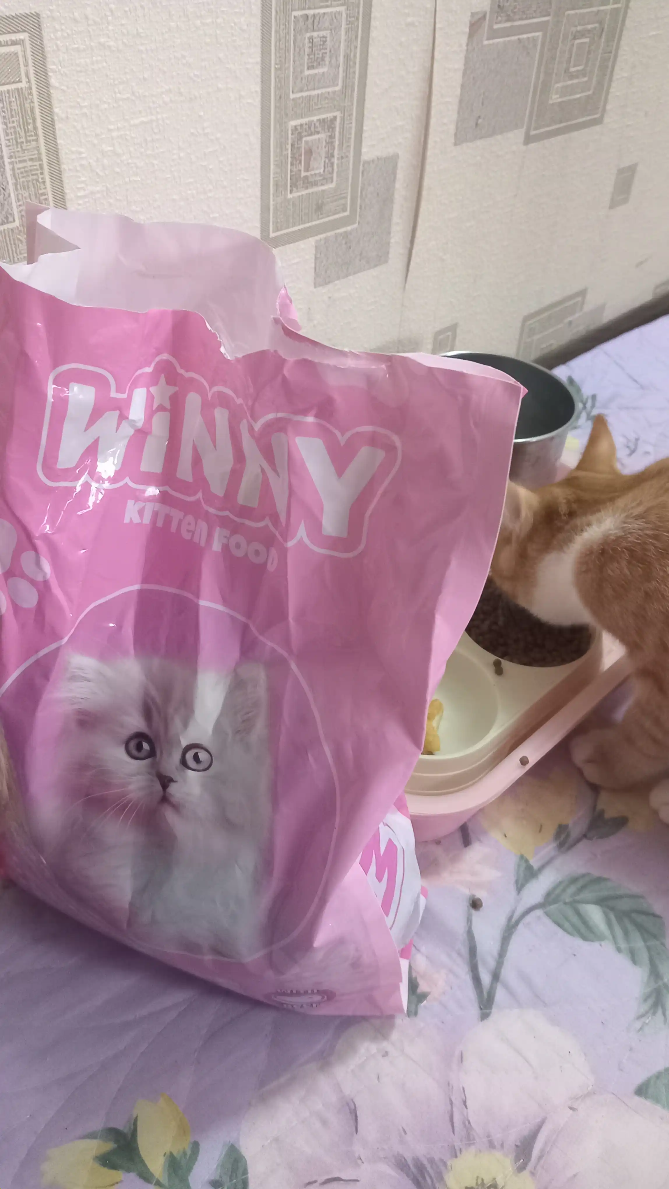 Сухой корм для котят с говядиной Winny , 2кг,10кг, (1-12 месяцев)